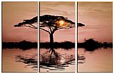 Landscape Canvas Paintings - AFRICAN SUNSET